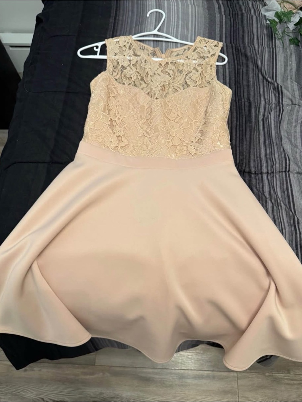 Sleeveless Lace Fit-and-Flare Dress in Blush